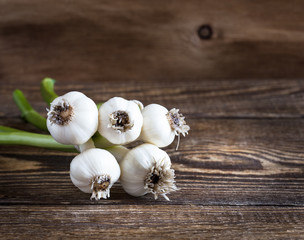 Organic young garlic, rustic style
