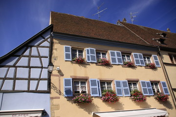 grande maison fleurie