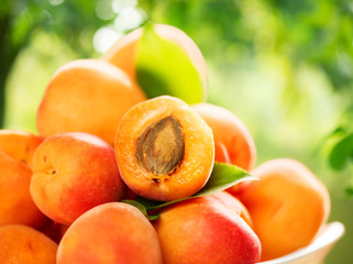 Apricot. Ripe organic apricots over green nature blurred background