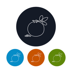 Icon  Pomegranate in the Contours