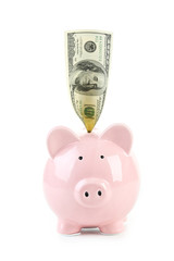 Pink piggy bank with dollars isolated on a white