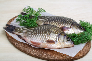 Two crucian