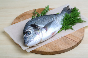 Raw dorado