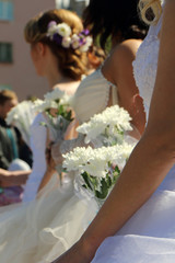 the parade of brides