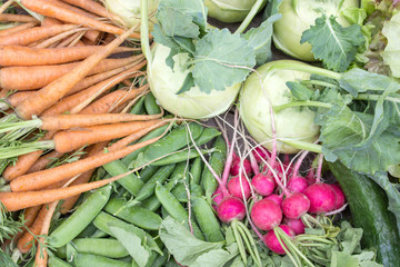 fresh vegetables / fresh kohlrabi, pea pods, carrots, cucumbers and radishes