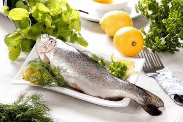 trout