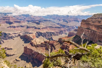 Photo sur Plexiglas Canyon North Rim of Grand Canyon - View from Mohave point