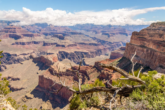 North Rim of Grand Canyon - View from Mohave point