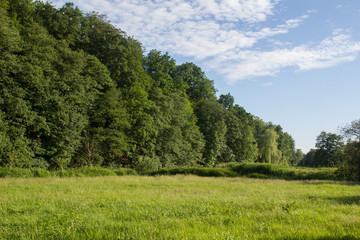 Summer landscape in Bavaria