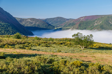 Niebla cubriendo el valle de Leitariegos, Asturias