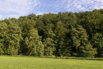 Summer landscape in Bavaria
