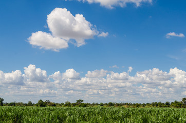 Obraz premium Clouds and sky 