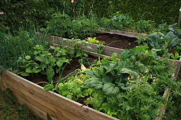 Hochbeete im Garten