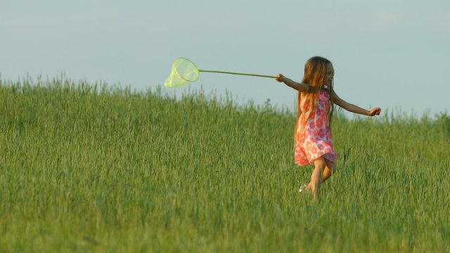 Girl with a butterfly net runs on a glade. Healthy lifestyle. Carefree childhood.