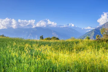 Foto op Plexiglas Dhaulagiri groene weide van annapurna circuit, nepal