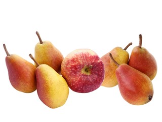 apples and pears isolated 