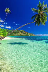 Public beach on the north side of Moorea island, French Polynesi