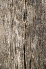 Texture of wood