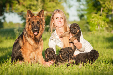 Beautiful happy girl with a family of german shepherd dogs