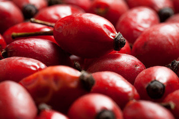  Rose hip fruits as a background