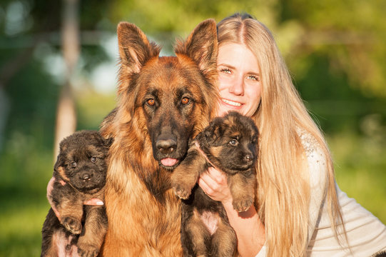 Beautiful happy girl with a family of german shepherd dogs