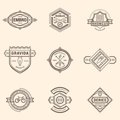 Set of Hipster Vintage Labels, Logotypes, Badges. Thin Line Design Template
