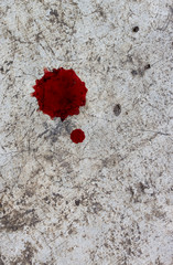 Cement floor with a drop of blood.Background
