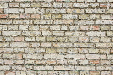 Grunge brick wall texture wallpaper.