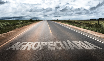 Agriculture (in Portuguese) written on rural road
