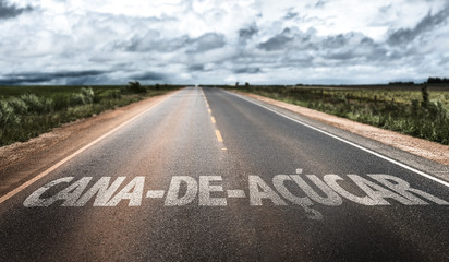 Sugarcane (in Portuguese) written on rural road