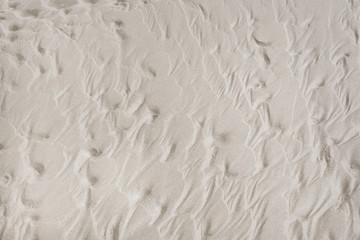 texture white sand
