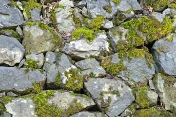 Stone wall