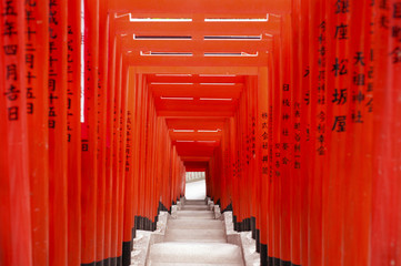 Torii-poorten bij Hie Shrine, Tokyo, Japan
