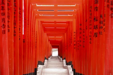 Fototapete Tempel Torii-Tore am Hie-Schrein, Tokio, Japan
