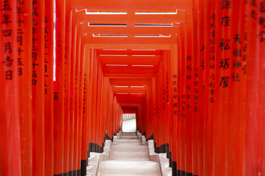 Torii Gates At Hie Shrine, Tokyo, Japan