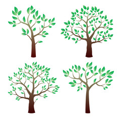 Obraz premium Color tree and green leafs. Vector Illustration.