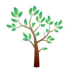 Color tree and green leafs. Vector Illustration.