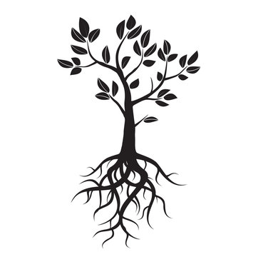 Black vector tree, leafs and roots