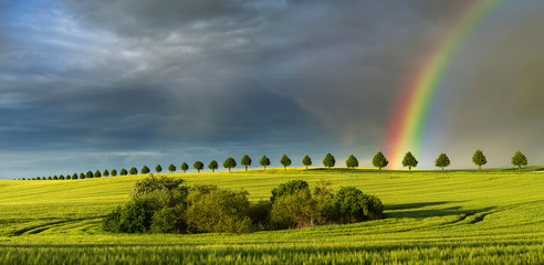Spring colorful rainbow over the field after passing rainstorm