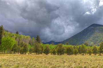 AZ-N of Flagstaff-Lockett Meadow Campground