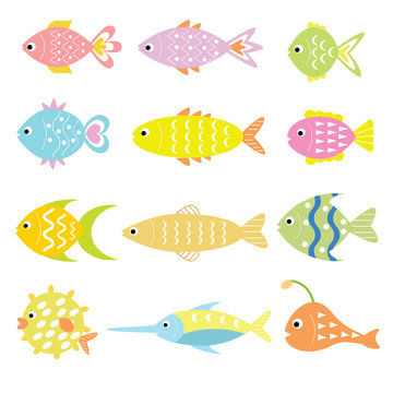 Fish colourful with variation style and colour