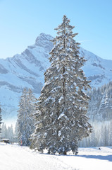 Braunwald, Switzerland
