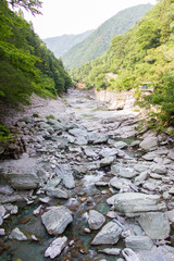 徳島県　祖谷のかずら橋