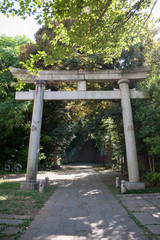 Torii Gate At Hikawa Shrine, Tokyo, Japan