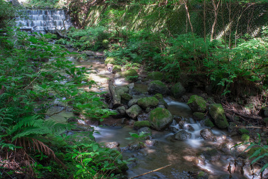 Water Stream Near Odawara, Kanagawa Prefecture, Japan
