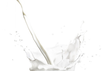 Milk Splash