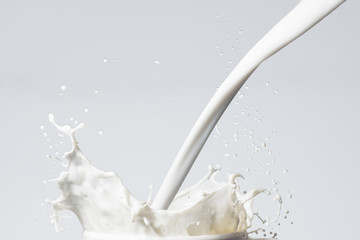 Milk Splash