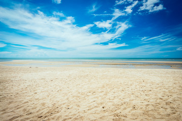 Fototapeta na wymiar tropical beach in summer