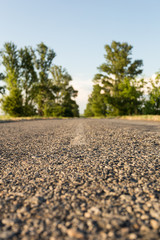 Asphalt road among the blurred tree line