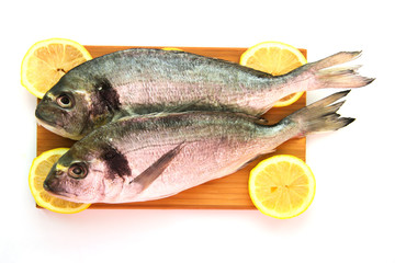 Two dorado on wooden board